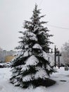 Moscow, Russia - January 11, 2020: Decorated Christmas tree in residential area, covered with snow
