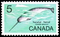 Narwhal, Unicorn Whale Monodon monoceros, Wild Life 1968 serie, circa 1968