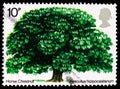 Postage stamp printed in United Kingdom shows Horse Chestnut, Trees serie, circa 1974