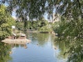 Moscow, Russia, July, 17, 2023. Bolshoy Presnensky pond in Moscow Zoo in summer. Russia, Moscow