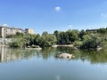 Moscow, Russia, July, 17, 2023. Bolshoy Presnensky pond in Moscow Zoo in summer. Russia, Moscow