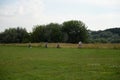 Cyclists on a walk in the Moscow estate `Kolomenskoye` summer day