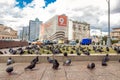 MOSCOW, RUSSIA - JULY 27, 2020: Hungry pigeons eating bread in the city street. Arbat street. Royalty Free Stock Photo