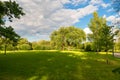 A large oak tree on a glade Royalty Free Stock Photo