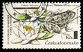 Postage stamp printed in Czechoslovakia shows Water lilies and frog with the inscription Nymphaea candida, Rana esculenta from the