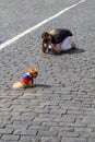 Moscow. Russia. 27 june 2018. Girl photographer sitting in the square takes a photo of his dog. Dog wrapped in the fabric of the Royalty Free Stock Photo