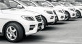 Mercedes Benz white cars parked on the rent a car service