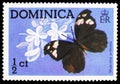 Postage stamp printed in Dominica shows Butterfly Myscelia antholia, Butterflies serie, circa 1975