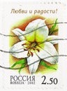 Regal Lily `Love and Joy`, Greeting Stamps - Lilies serie, circa 2002