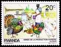 Postage stamp printed in Rwanda shows Chicken Gallus gallus domestica,Turkey Meleagris gallopavo, Food Production serie, circa