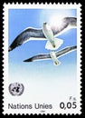 Postage stamp printed in United Nations, Geneva,  shows European Herring Gull Larus argentatus, UN-Symbols serie, circa 1986 Royalty Free Stock Photo