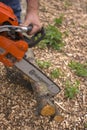 Moscow. Russia. 15 june 2019. Worker sawing twigs in the garden with a chainsaw