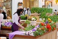 Flower salesman prepares bouquets of tulips for sale in the shopping center `Petrovsky Passage` in Moscow Royalty Free Stock Photo