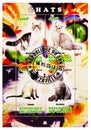 Four postage stamps printed in Congo shows Cats serie, circa 2013