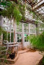 Moscow, Russia - March 5, 2017: Interior of Moscow botanical tropic greenhouse