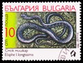 Postage stamp printed in Bulgaria shows Aesculapian Snake (Elaphe longissima), Snakes serie, circa 1989