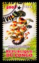 Postage stamp printed in Congo shows Hypholoma fasciculare, Mushrooms serie, circa 2013