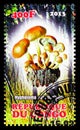 Postage stamp printed in Congo shows Hypholoma sublotoritium, Mushrooms serie, circa 2013