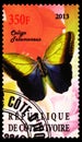 Postage stamp printed in Cote d`Ivoire shows Caligo jelamoneus, Butterflies serie, circa 2013