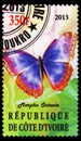 Postage stamp printed in Cote d`Ivoire shows Morpho octavia, Butterflies serie, circa 2013