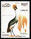 Postage stamp printed in Kampuchea Cambodia shows Black Crowned Crane Balearica pavonina, International Stamp Exhibition CAPEX