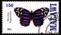 Postage stamp printed in Malawi shows Myscelia Rogenhoferi, Butterflies serie, circa 2013