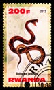 Postage stamp printed in Rwanda shows Bothrops jararaca, Snakes serie, circa 2013 Royalty Free Stock Photo