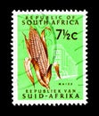 Maize, Definitive Issue - Decimal Issue serie, circa 1964