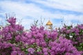 Moscow, Russia - May 13, 2019: Bushes of blooming lilac and The Cathedral of Christ the Saviour in the background