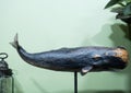 Moscow, Russia - May 6, 2023. The figurine is a wooden whale, handmade. Decoration of livingroom
