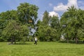 Moscow. Russia. 26 may 2019. The girl launches a kite in the Park Royalty Free Stock Photo