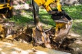 Moscow, Russia - May 03, 2024: hydraulic hammer uproots a tree