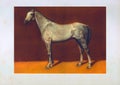 Draw tersk`s stallion horse Royalty Free Stock Photo