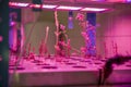 Moscow, Russia May 13, 2020: Plants in a vertical growing system with LED lights