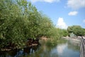 Presnensky pond on the territory of the Moscow Zoo.