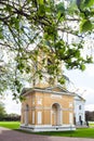 Tree branch and Belltower in Kuskovo estate Royalty Free Stock Photo