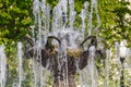 Moscow, Russia - May 07, 2019: Water jets and drops against green trees of Repinskiy fountain on Bolotnaya square in Moscow Royalty Free Stock Photo