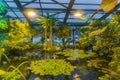 Inside a tropical greenhouse. Botanical Garden of Moscow State University, Russia