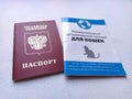 Moscow, Russia, November 29, 2020. Inscription - Russian Federation, passport. Inscription - International Veterinary Passport for Royalty Free Stock Photo