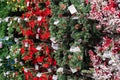 Moscow, Russia, November 2020: a Large number of Christmas tree wreaths with decorations made of baubles, red bows, pine cones and
