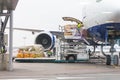 Loading cargo into the aircraft before departure Royalty Free Stock Photo