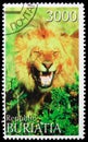 Postage stamp printed in Cinderellas shows African Lion (panthera leo), Buriatia Russia serie, circa 1997