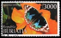 Postage stamp printed in Cinderellas shows Junonia orithya, Buriatia Russia serie, circa 1997