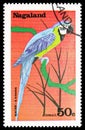 Postage stamp printed in Cinderellas shows Macaw, Nagaland serie, circa 1977