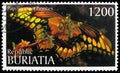 Postage stamp printed in Cinderellas shows Papilio cresphontes, Buriatia Russia serie, circa 1997