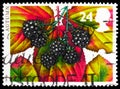 Postage stamp printed in United Kingdom shows Autumn - Blackberry, The Four Seasons: Autumn serie, circa 1993