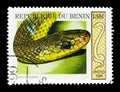 Aesculapian Snake (Elaphe longissima), Snakes serie, circa 1999
