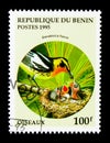 Blackburnian Warbler (Dendroica fusca), Birds serie, circa 1995