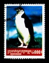 Chinstrap Penguin Pygoscelis antarctica, Pinguin serie, circa 2001