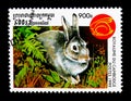 Rabbit Family Leporidae, Year of the Rabbit serie, circa 1999